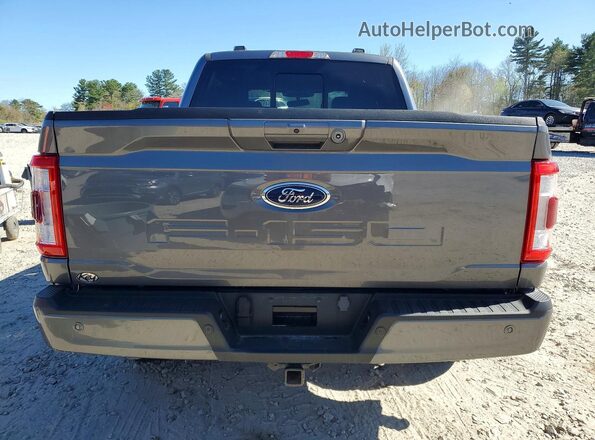 1FTFW1ED8PFA94503 2023 FORD F150 Gray Widok z tyłu
