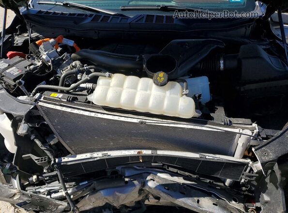 1FTFW1ED8PFA94503 2023 FORD F150 Gray Widok wnętrza z tyłu