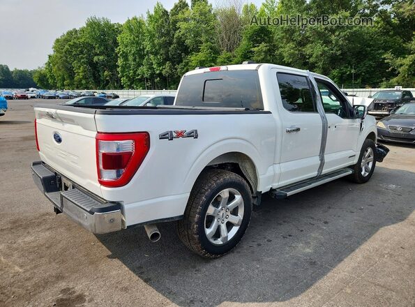 1FTFW1ED8PFC87699 2023 FORD F150 White Trasero derecho