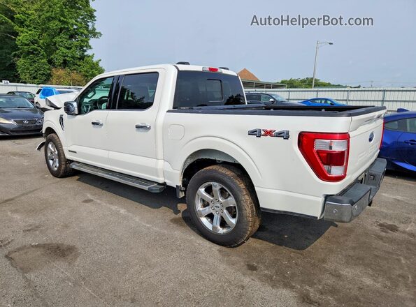 1FTFW1ED8PFC87699 2023 FORD F150 White Trasero izquierdo