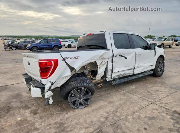 1FTFW1ED8PFD06512 2023 FORD F150 White უკანა მარჯვენა