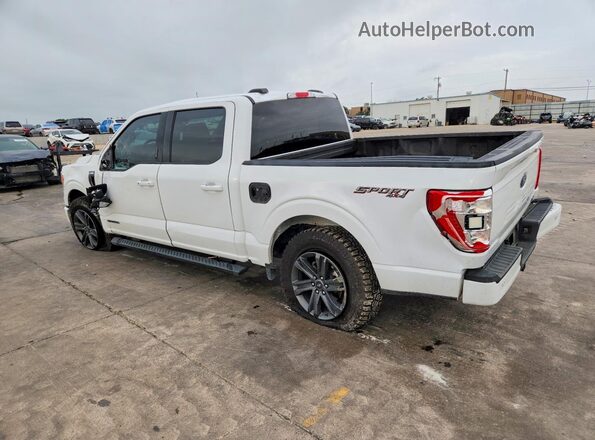 1FTFW1ED8PFD06512 2023 FORD F150 White უკანა მარცხენა