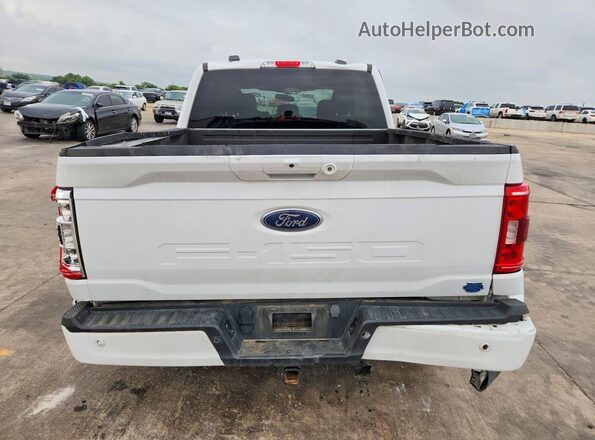 1FTFW1ED8PFD06512 2023 FORD F150 White უკანა ხედი