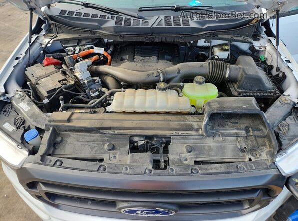 1FTFW1ED8PFD06512 2023 FORD F150 White უკანა სალონის ხედი
