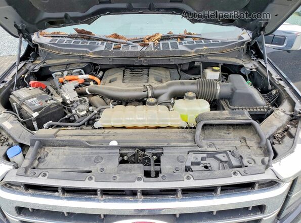 1FTFW1ED9MFA83974 2021 FORD F150 Синий Вид задней части салона