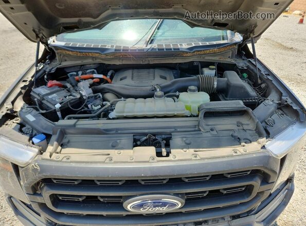 1FTFW1ED9MFB00675 2021 FORD F150 Gray Вид задньої частини салону