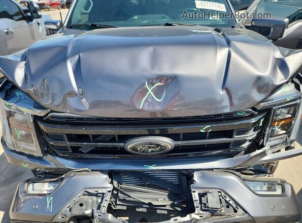 1FTFW1ED9PFA86992 2023 FORD F150 Gray Вид задньої частини салону