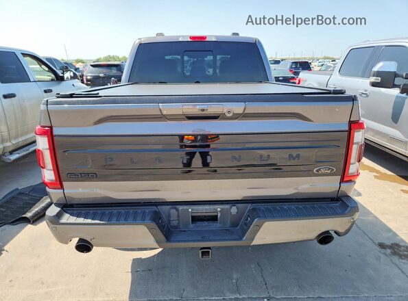 1FTFW1ED9PFA86992 2023 FORD F150 Gray Вид ззаду
