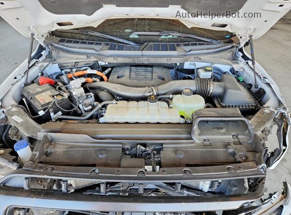 1FTFW1ED9PFB94111 2023 FORD F150 White უკანა სალონის ხედი