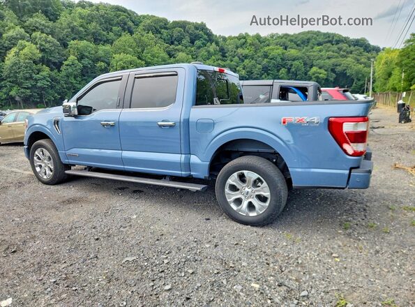 1FTFW1ED9PFB99177 2023 FORD F150 Gray Задня ліва чверть