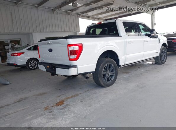 1FTFW1ED9PFC26734 2023 FORD F150 White უკანა მარჯვენა