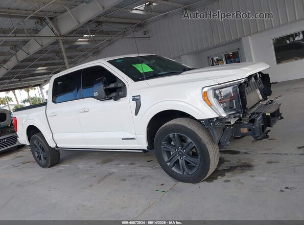 1FTFW1ED9PFC26734 2023 FORD F150 White უკანა სალონის ხედი