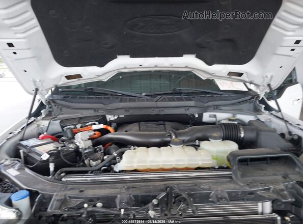 1FTFW1ED9PFC26734 2023 FORD F150 White უკანა ხედი