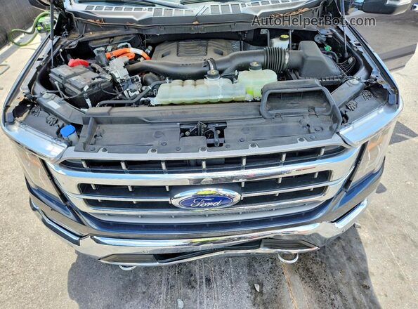1FTFW1EDXMFA98631 2021 FORD F150 Blue Вид задньої частини салону