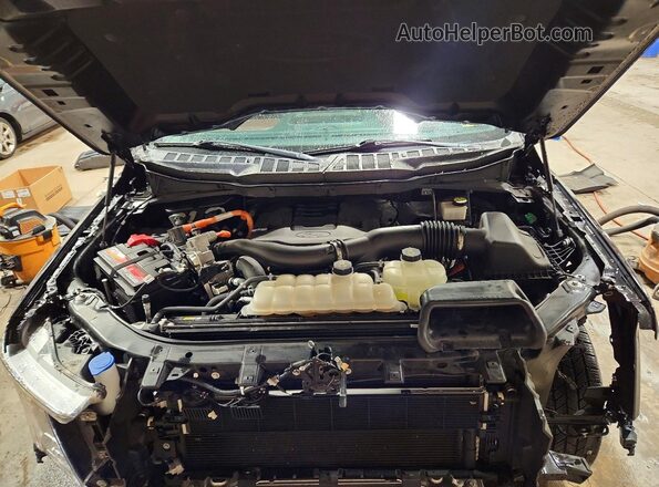 1FTFW1EDXNFA00666 2022 FORD F150 Black უკანა სალონის ხედი