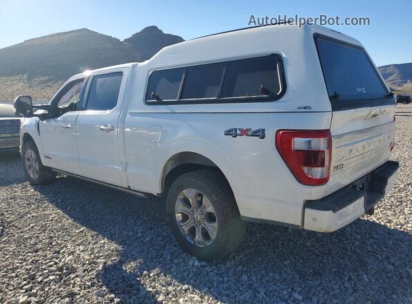 1FTFW1EDXPFB64308 2023 FORD F150 White Tył lewy