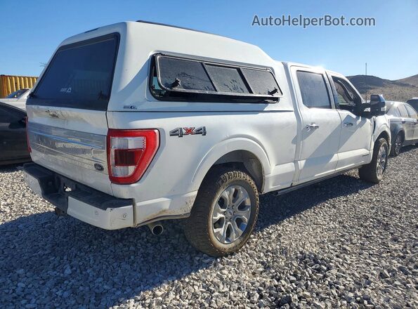 1FTFW1EDXPFB64308 2023 FORD F150 White Tył prawy