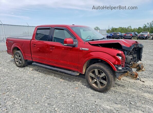 1FTFW1EF6HFA01576 2017 FORD F150 Red Передня права чверть