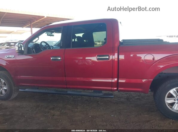 1FTFW1EF9GFD04351 2016 FORD F150 Красный Панорамный вид салона 360°