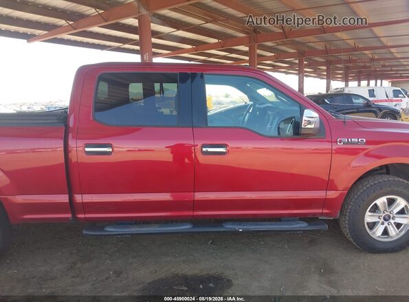 1FTFW1EF9GFD04351 2016 FORD F150 Красный Вид задней части салона