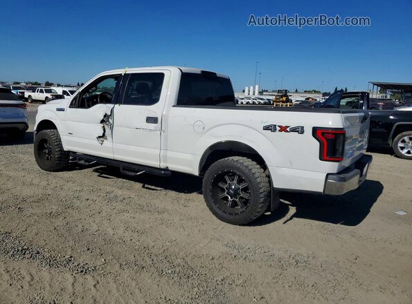 1FTFW1EG2GFB46458 2016 FORD F150 White უკანა მარცხენა