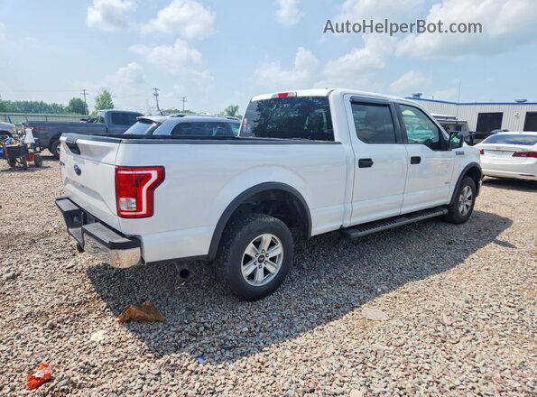 1FTFW1EG9GFB45579 2016 FORD F150 White Задня права чверть
