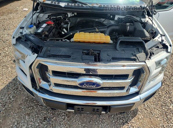 1FTFW1EG9GFB45579 2016 FORD F150 White Вид задньої частини салону