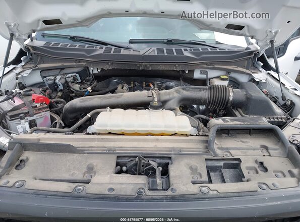 1FTFW1L86RKE98142 2024 FORD F150 White Vista trasera