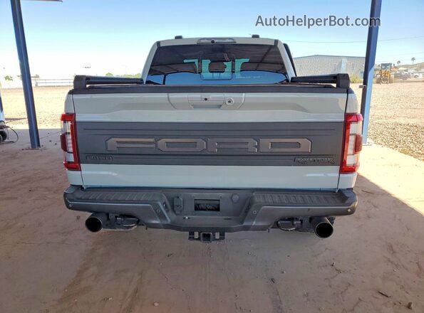 1FTFW1RG0PFC80802 2023 FORD F150 Gray Rear view