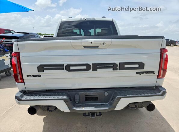 1FTFW1RG2RFB68103 2024 FORD F150 Gray Հետևի տեսք