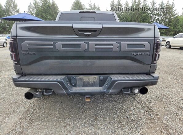 1FTFW1RG3KFB67029 2019 FORD F150 Gray Rear view