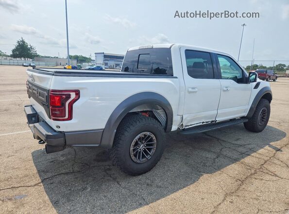 1FTFW1RG5KFA40329 2019 FORD F150 White Tył prawy