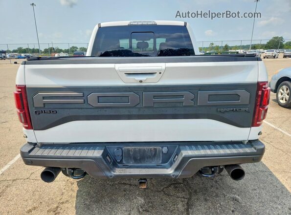 1FTFW1RG5KFA40329 2019 FORD F150 White Widok z tyłu