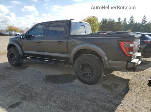 1FTFW1RG5NFA87297 2022 FORD F150 Gray Հետևի ձախ