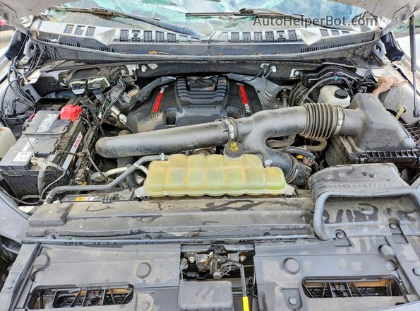 1FTFW1RG6KFB99635 2019 FORD F150 Белый Вид задней части салона