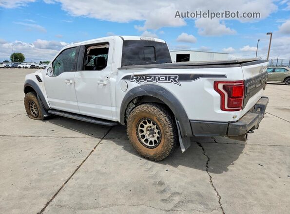 1FTFW1RG6KFB99635 2019 FORD F150 Белый Задняя левая четверть