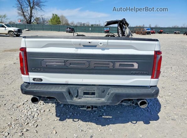 1FTFW1RG6SFC66041 2025 FORD F150 White Vista trasera
