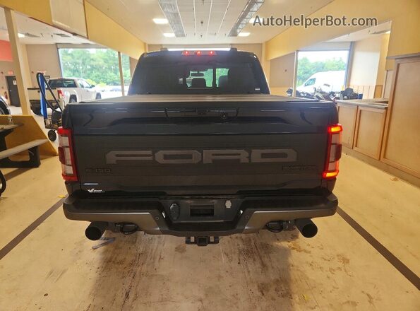 1FTFW1RG7PFC53953 2023 FORD F150 Blue Rear view