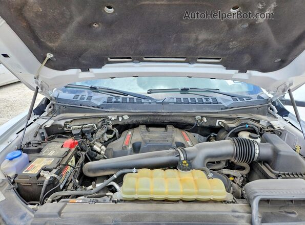 1FTFW1RG8LFB09547 2020 FORD F150 Белый Вид задней части салона