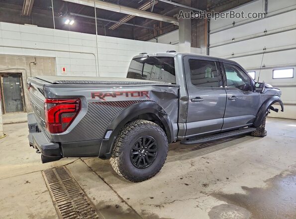 1FTFW1RGXSFC00270 2025 FORD F150 Gray უკანა მარჯვენა