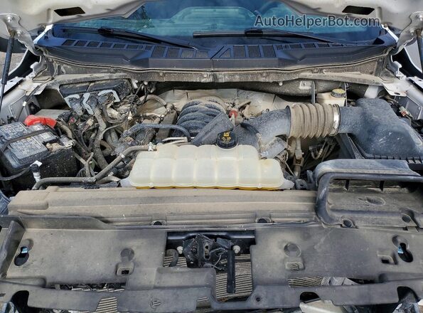 1FTFW2L58RFB20974 2024 FORD F150 Белый Вид задней части салона