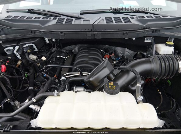 1FTFW3L53RKD70135 2024 FORD F150 White Вид ззаду