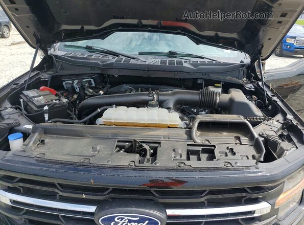 1FTFW3L81RKF68030 2024 FORD F150 Black Widok wnętrza z tyłu