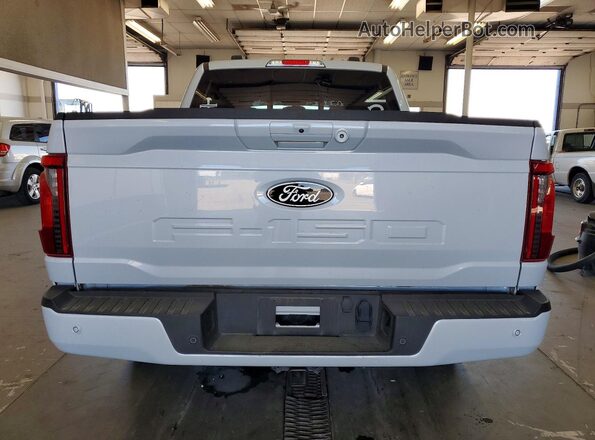 1FTFW3L82SKE93036 2025 FORD F150 Gray Հետևի տեսք