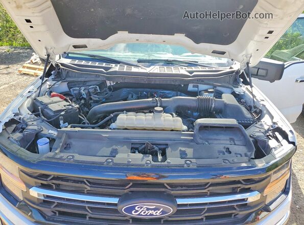 1FTFW3L83RKE10529 2024 FORD F150 Белый Вид задней части салона