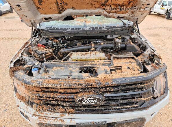 1FTFW3L83RKF72001 2024 FORD F150 Gray Rear interior view