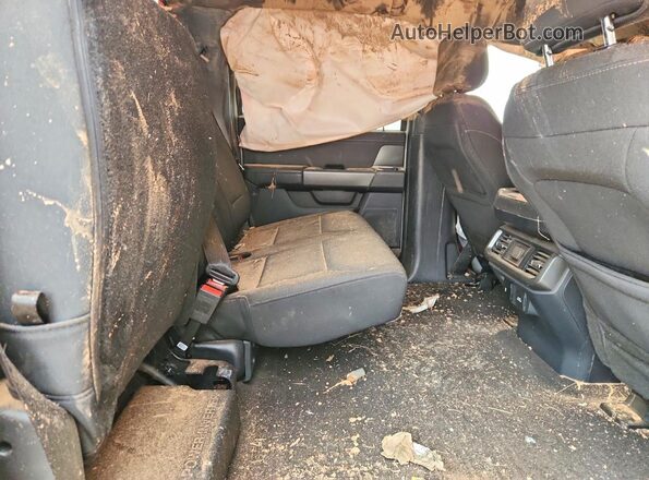 1FTFW3L83RKF72001 2024 FORD F150 Gray Rear seats view