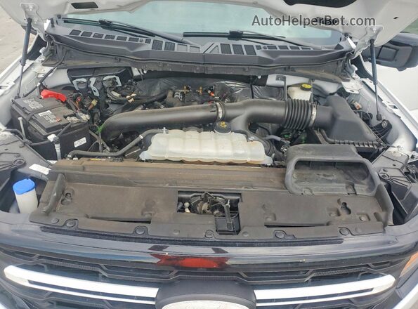 1FTFW3L84RKE01497 2024 FORD F150 White უკანა სალონის ხედი