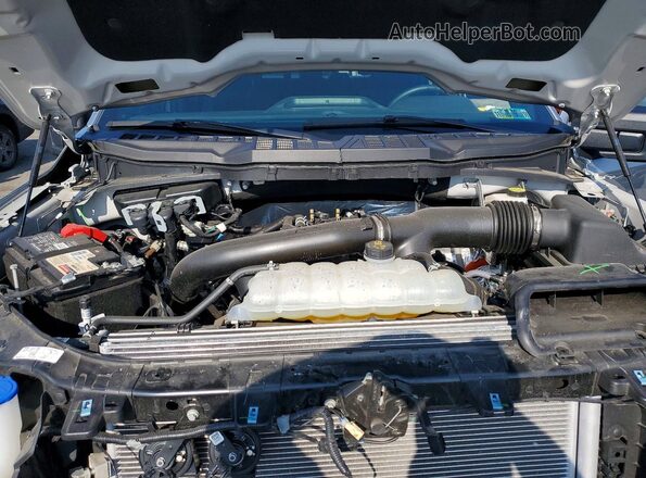 1FTFW3L85RKF17016 2024 FORD F150 Silver Սալոնի հետևի տեսք
