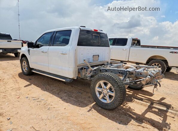 1FTFW3L88RFA21488 2024 FORD F150 White Задня ліва чверть